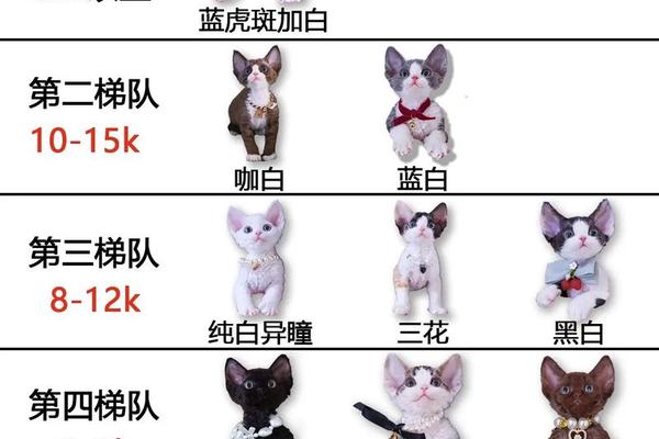 德文母猫血型a、猫血型卡使用说明
