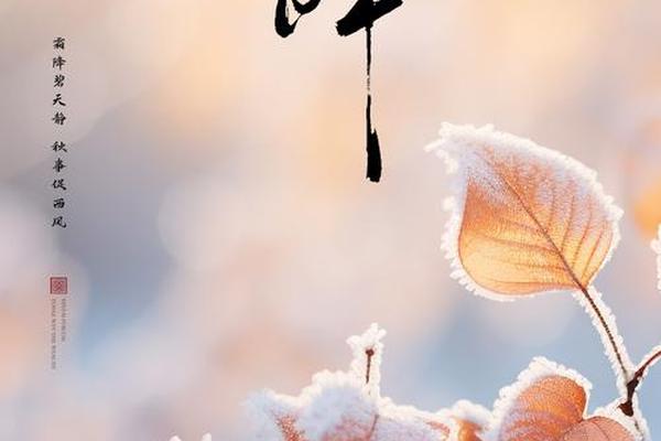 霜降对应天干地支,霜降代表什么