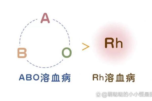 a血型和o血型溶血症_妈妈A型血爸爸O型血会不会溶血
