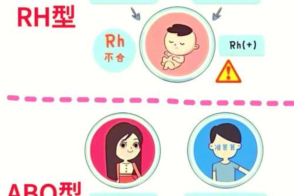 阅客育儿a o血型(o和a血型的孩子)