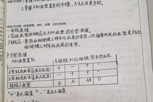 A血型鉴定实验报告分析-试述ABO血型的鉴定