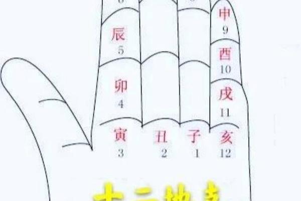 天干地支掐算手势、天干地支查询器