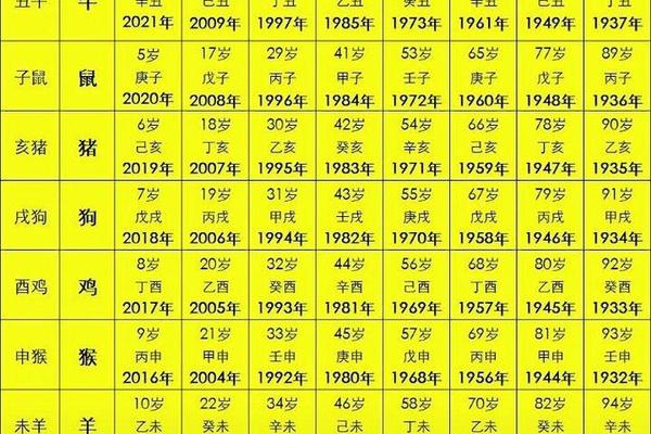 天干地支 2022虎年,十二生肖2022