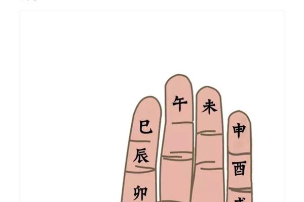 掌心天干地支-干支计算一掌诀