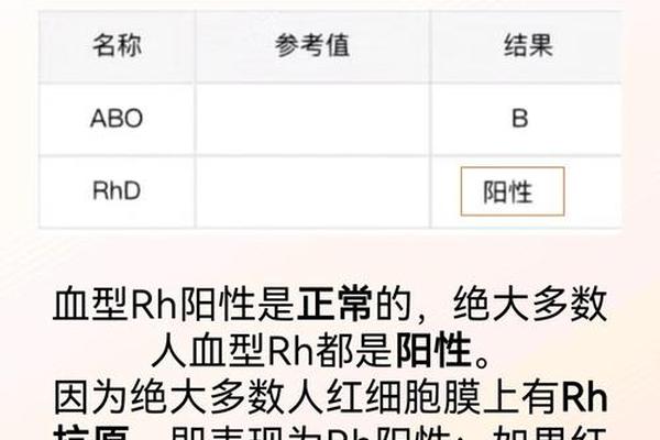 血型A型RH(十)(血型a型rh( ))