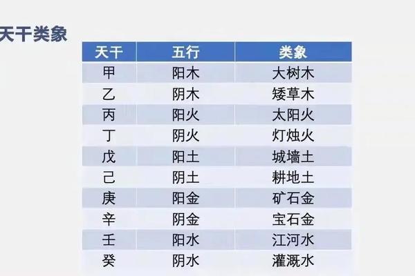 八字天干地支哪个力大,八字中天干和地支哪个重要