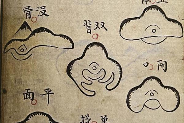 山脉风水学入门