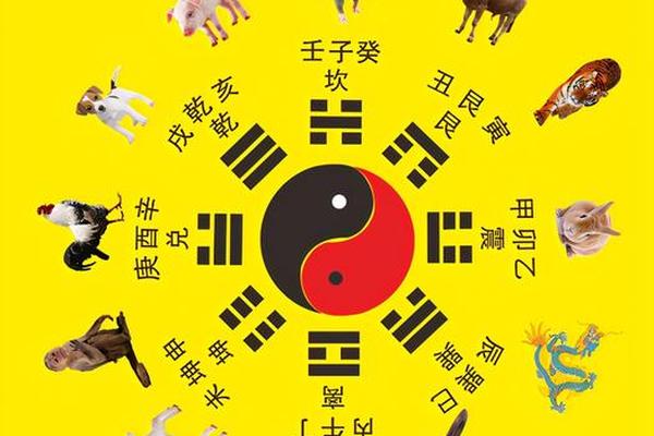 生肖节气天干地支—2025年12生肖天干地支