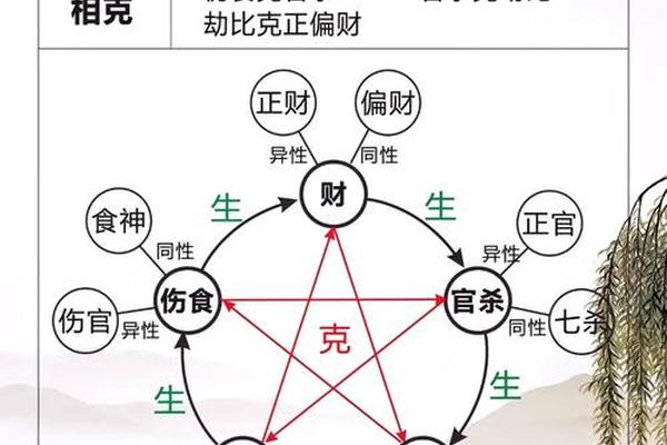 天干地支带食神(天干地支都有食神)