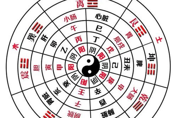 天干地支与健康(天干地支与中医的关系)