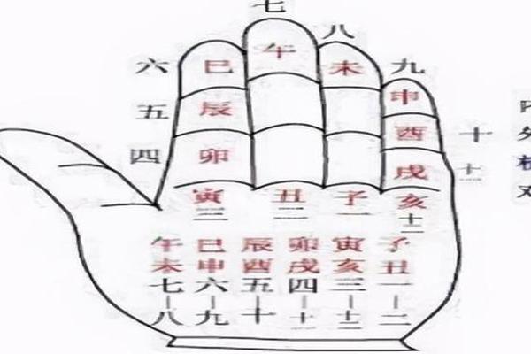 天干地支指间陀螺—掌指推算干支
