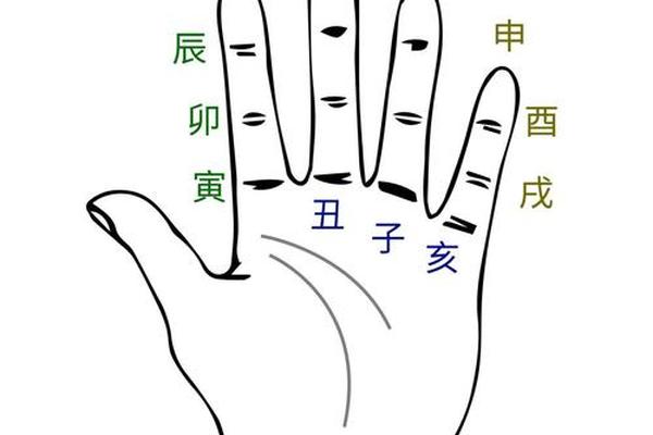 左手天干地支手相—地支手掌方位图