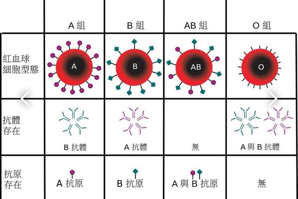 血型a型变成血型o型(之前是A型血后来变成O型血)