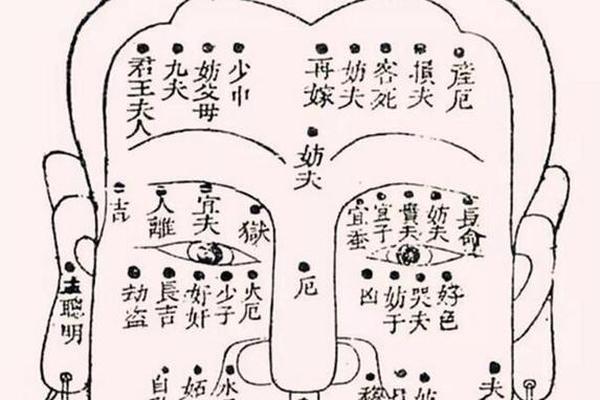 子女宫位天干地支 子女宫图看生几个孩子