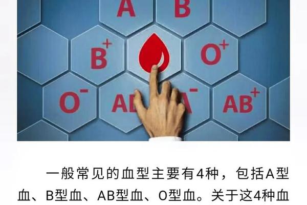 血型抗a大于512-a跟o能生出什么血型