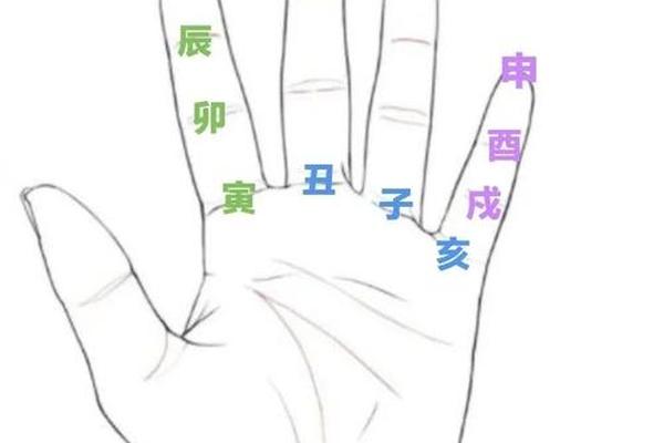左手天干地支占卜;手指掐算天干地支的方法图解
