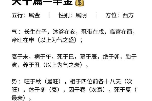 辛金的天干地支(辛在天干地支解释)