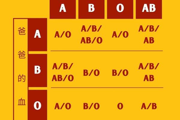 a血型属于什么基因—A血型是AA还是AO
