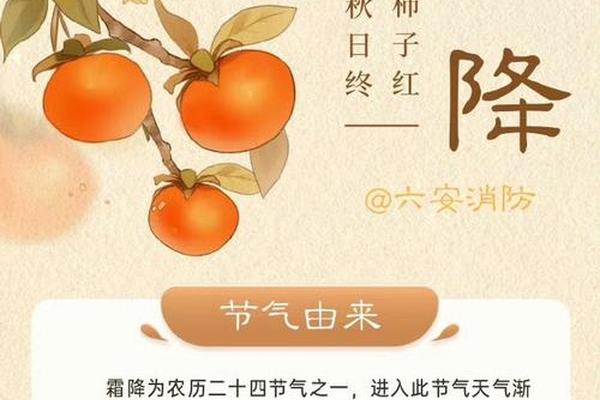 霜降对应天干地支,霜降代表什么