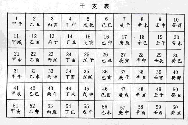 天干地支纪念算法(天干地支查询器)