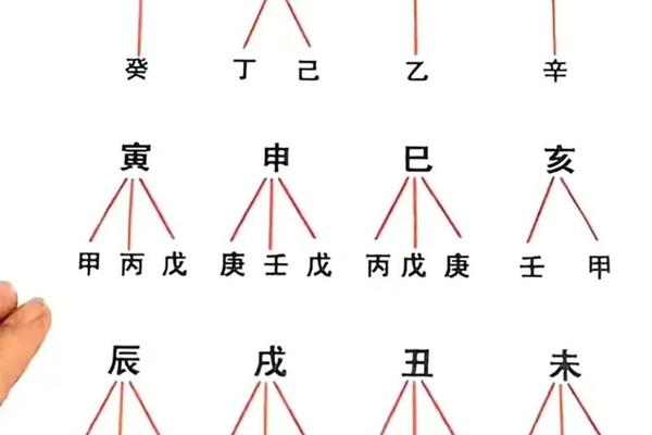 怎么易经里没有天干地支—天干地支属于易经吗