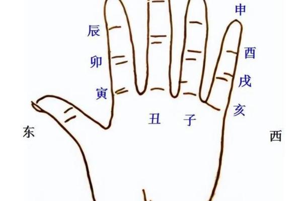 拼音天干地支背诵口诀、天干地支背诵口诀手指图