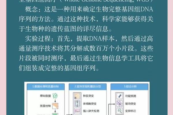 基因密码天干地支—中医探解基因密码-干支医学新探