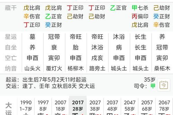 天干地支丙子—丙子属水还是火