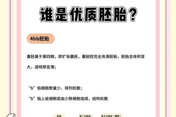 4a囊胚孩子是什么血型-囊胚4aa是不是很挑子宫