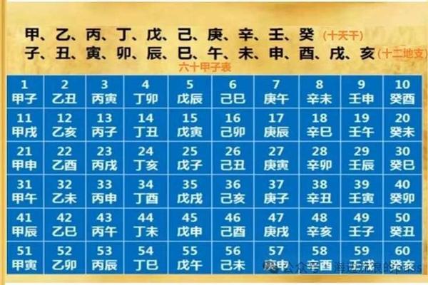 丙子年天干地支_丙子最准确的生肖