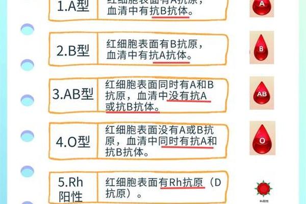 男血型a与女血型o婚恋、o型血的男人和a型血的女人