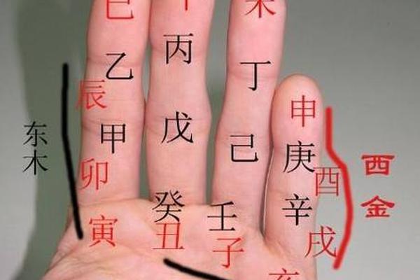手上如何排天干地支 天干地支怎样排四柱