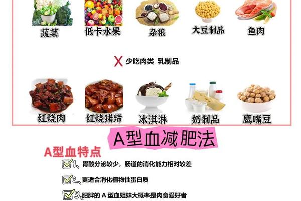 a血型吃什么不胖_a型血的人吃什么减肥