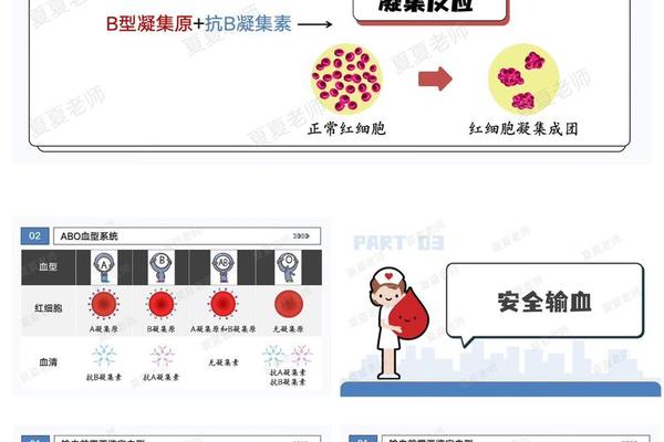 什么血型给a血型输血—4个血型哪个血型最贵