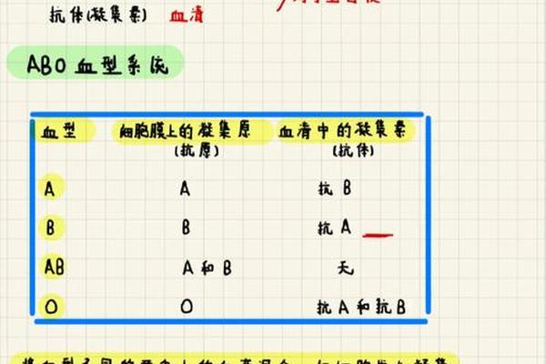 郭力歌曲什么血型能给a血型输血,血型输血配对表
