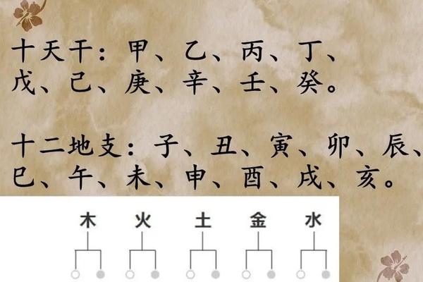 旅游天干地支_天干地支五行方位图