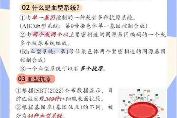 abo血型a抗体,abo血型是熊猫血吗