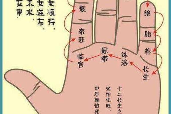 天干地支手掌排法-手掌与天干地支五行对照表