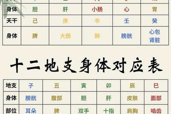 天干地支 气化(中医气化是指什么)