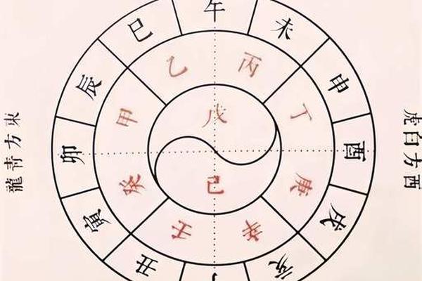 天干地支阴阳应用、天干地支中的阳干阴干