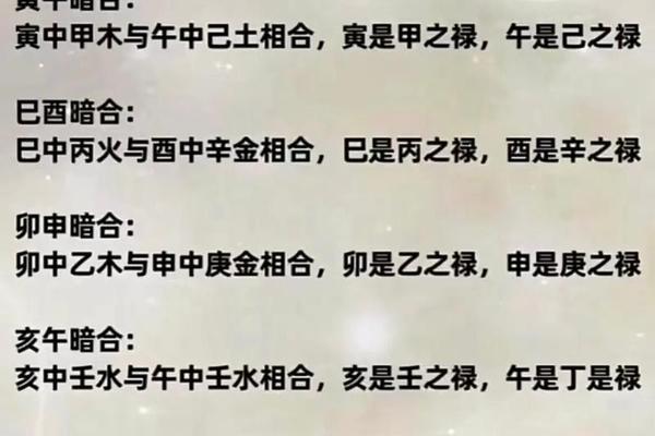 天干地支地支暗合代表什么;地支暗合有几组