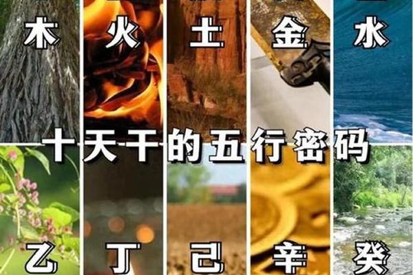 天干地支之丁火、丁火的属相