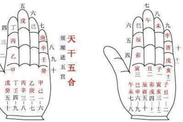 手指点天干地支-十天干手指对应图