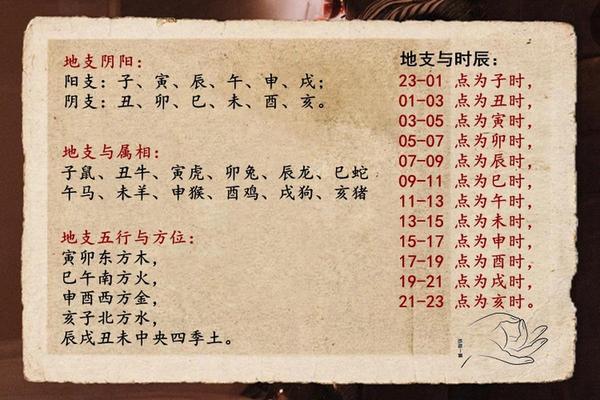 天干地支的是什么意思;为什么叫天干