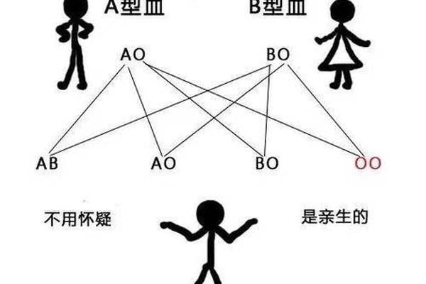双A血型的父母_父母双方都是A型,但是阴阳两种