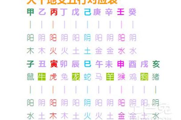 属木天干地支;地支和五行对应关系