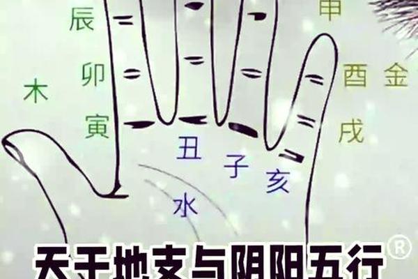 手掌学天干地支、十天干和十二地支手掌图