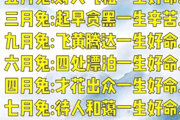 A血型属兔的人-属兔人的命运