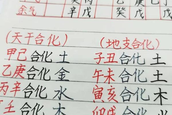甲午天干地支合;甲午自合详解