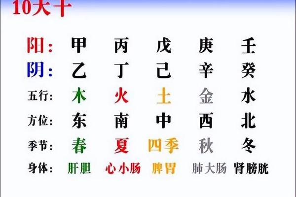 天干地支推算晴雨天_天干地支五行对照表